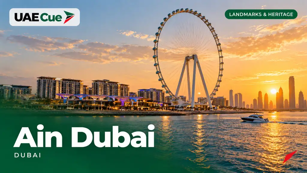 Editorial illustration for the Ain Dubai guide, showing Ain Dubai observation wheel beside the sea.