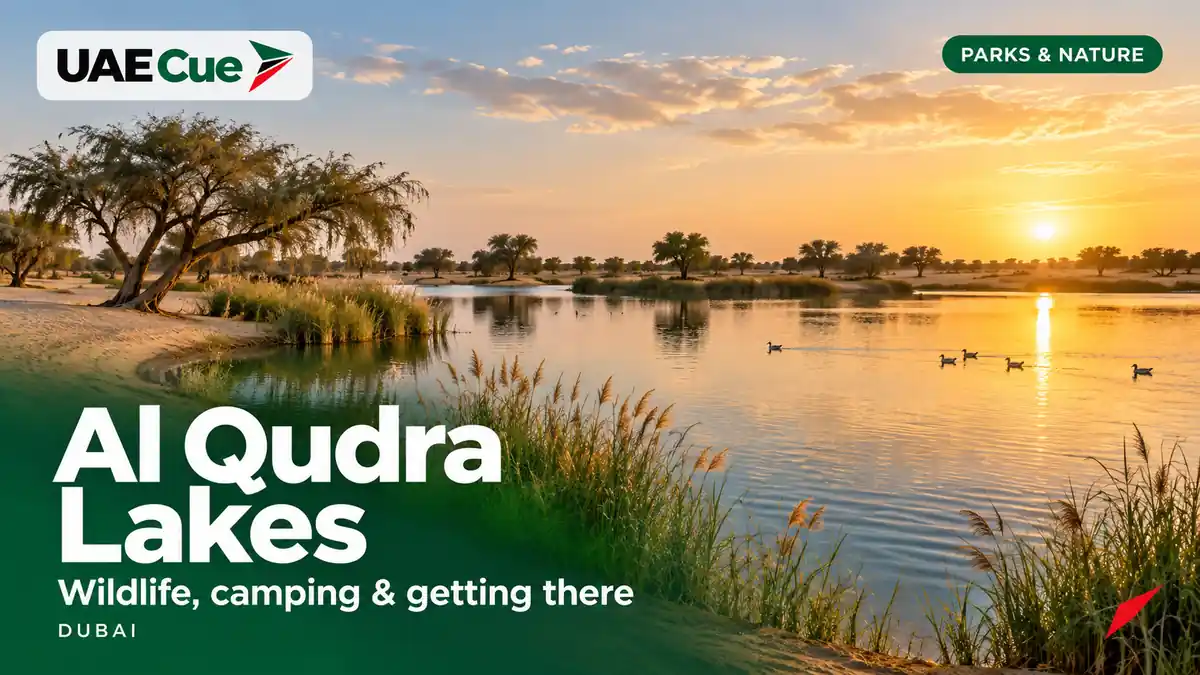 Editorial illustration for the Al Qudra Lakes guide, showing a desert lake with waterbirds at sunset.
