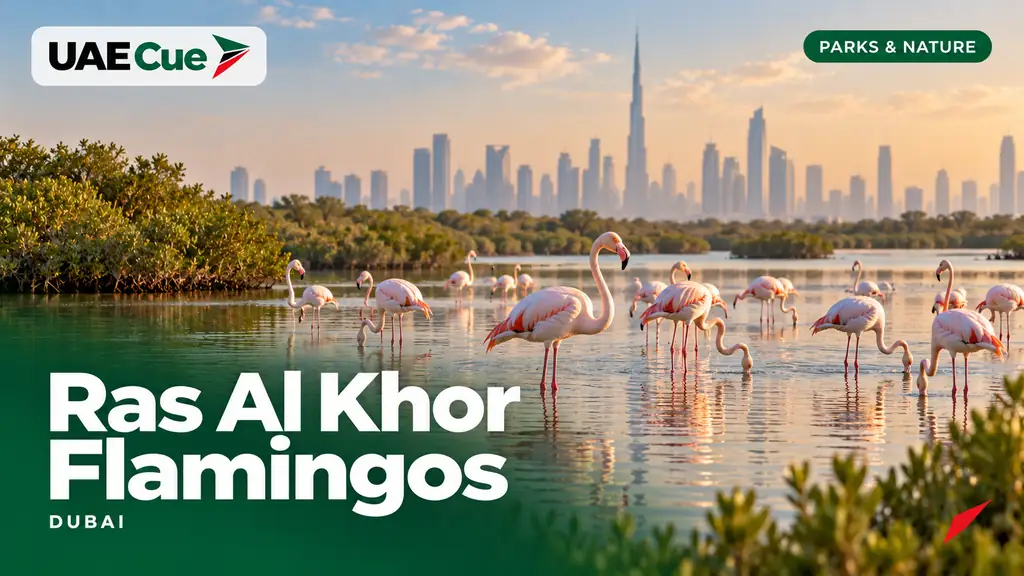 Editorial illustration for the Ras Al Khor Flamingos guide, showing pink flamingos wading in a coastal wetland.